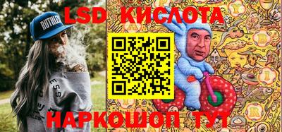 индика Гусев