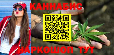 индика Гусев