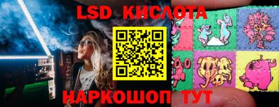 индика Гусев