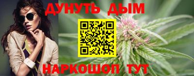 индика Гусев