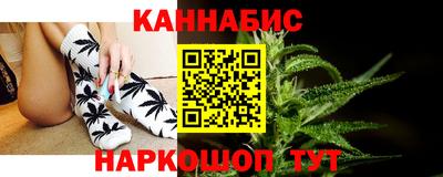 индика Гусев