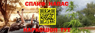 индика Гусев