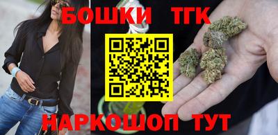 индика Гусев
